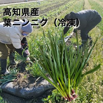 葉にんにく (冷凍) 500g