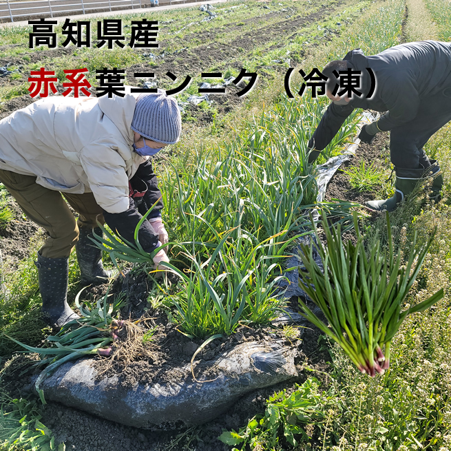 葉ニンニク（冷凍）